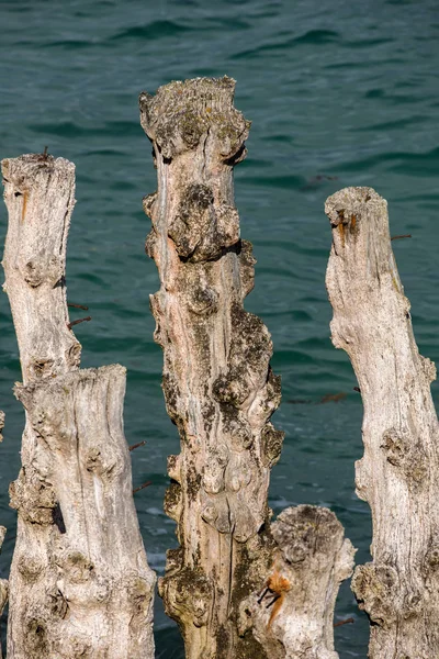 Big Breakwater 3000 Trunks Defend City Tides Plage Ventail Beach — Stock Photo, Image