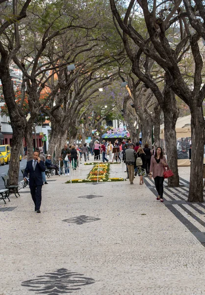 Funchal Madeira Portekiz Nisan 2018 Çiçek Festivali Ünlü Çiçek Halı — Stok fotoğraf