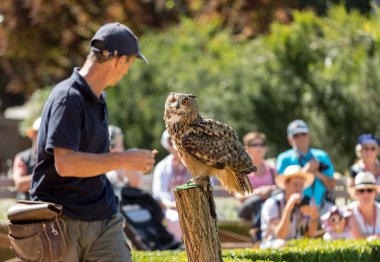 Milandes, Fransa-4 Eylül 2018: turistler Chateau des Milandes, Dordogne, Aquitaine, Fransa bir kale av kuşların gösterisi izliyor