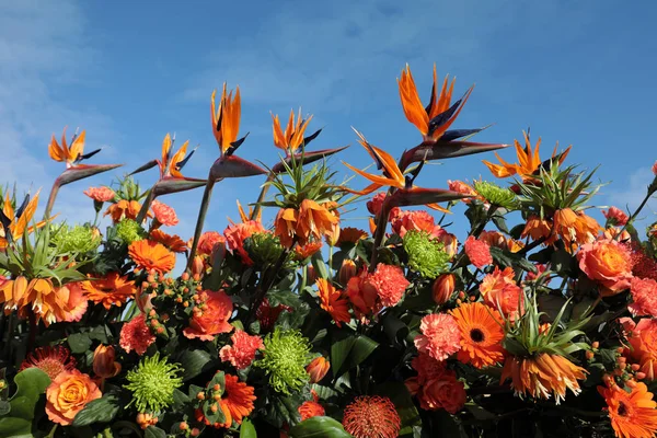 Florystyczne Dekoracje Kwiatów Tropikalnych Przeciw Błękitne Niebo — Zdjęcie stockowe