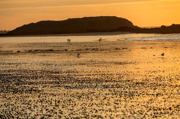 Schoonheid Zonsondergang Uitzicht Vanaf Het Strand Saint Malo Bretagne Frankrijk — Stockfoto