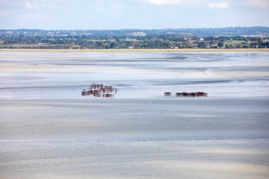 Koyda bir grup yürüyüşçü alçak gelgitte. Bilge bir rehberle körfezde yürüyüş yapmak. Mont Saint-Michel, Normandiya, Fransa 
