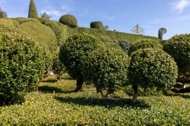 Dordogne, Fransa - 3 Eylül 2018: Jardins de Marqueyssac Fransa'nın Dordogne bölgedeki bahçelerde budama sanatı
