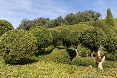  Jardins de Marqueyssac Fransa'nın Dordogne bölgedeki bahçelerde budama sanatı