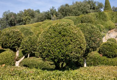  Jardins de Marqueyssac Fransa'nın Dordogne bölgedeki bahçelerde budama sanatı