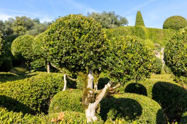  Jardins de Marqueyssac Fransa'nın Dordogne bölgedeki bahçelerde budama sanatı