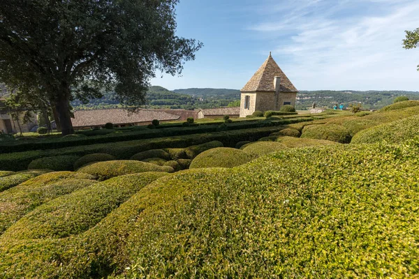 Jardins Marqueyssac Fransa Nın Dordogne Bölgedeki Bahçelerde Budama Sanatı — Stok fotoğraf