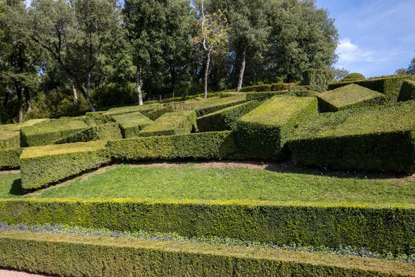 法国多尔多涅地区雅尔丁 Marqueyssac 花园的修剪 — 图库照片