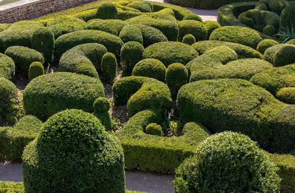 Topiary Ogrodów Jardins Marqueyssac Regionie Dordogne Francji — Zdjęcie stockowe