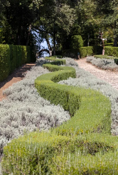 Ogrodów Jardins Marqueyssac Regionie Dordogne Francji — Zdjęcie stockowe