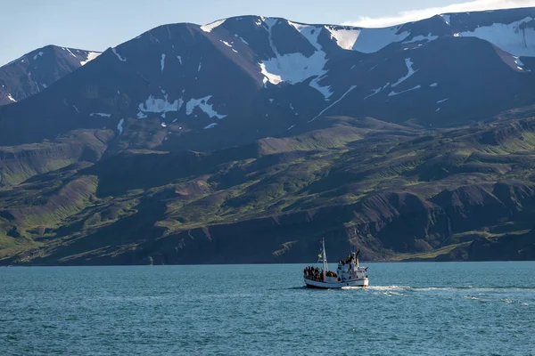 Husavik Islandia Lipca 2017 Statek Obserwacyjny Wielorybów Pasażerami Wychodzącymi Husaviku — Zdjęcie stockowe