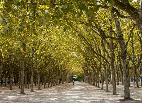 Bordeaux France September 2018 Public Garden Place Des Quinconces Bordeaux — Stock Photo, Image