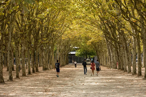 Bordeaux France September 2018 Public Garden Place Des Quinconces Bordeaux — Stock Photo, Image