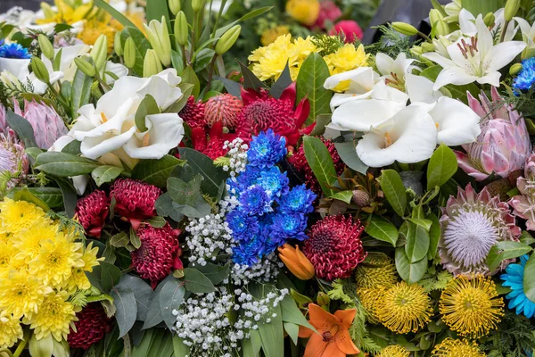 Piękno Kwiaciarnia Ozdoba Kolorowych Kwiatów Tropikalnych — Zdjęcie stockowe