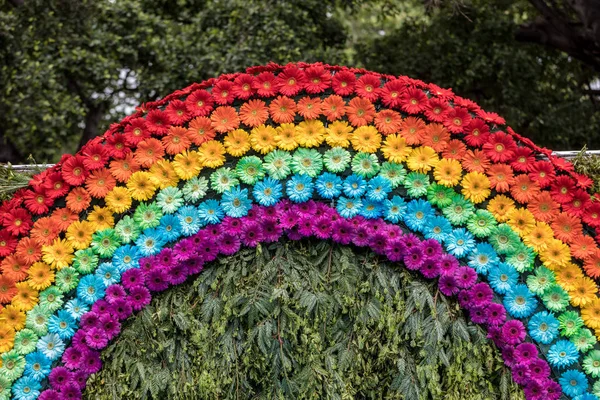 Schönheit Floristische Dekoration Mit Bunten Gerbera Blumen — Stockfoto