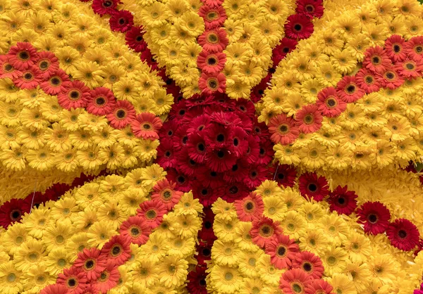 Renkli Gerbera Çiçekleriyle Süslenmiş Güzel Bir Çiçek — Stok fotoğraf