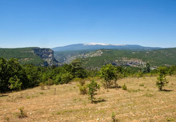 Táj Vaucluse Provence Ban Mont Ventoux Háttérben Franciaország — Stock Fotó