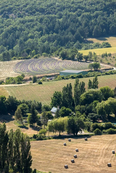 Lappendeken Van Farmer Velden Vallei Hieronder Sault Provence Frankrijk — Stockfoto