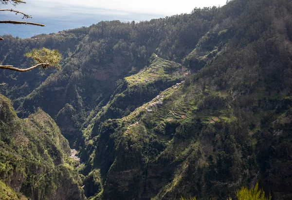 Apácák Völgye Curral Das Freiras Madeira Szigetén Portugália — Stock Fotó