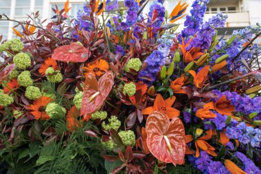 Renkli tropikal çiçeklerle süslenmiş güzel bir çiçek. 