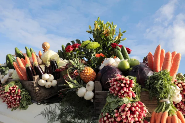 Çeşitli Sebzelerden Yapılmış Güzel Iştah Açıcı Dekorasyon — Stok fotoğraf