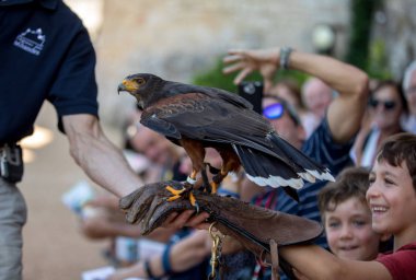Milandes, Fransa-4 Eylül 2018: turistler Chateau des Milandes, Dordogne, Aquitaine, Fransa bir kale av kuşların gösterisi izliyor