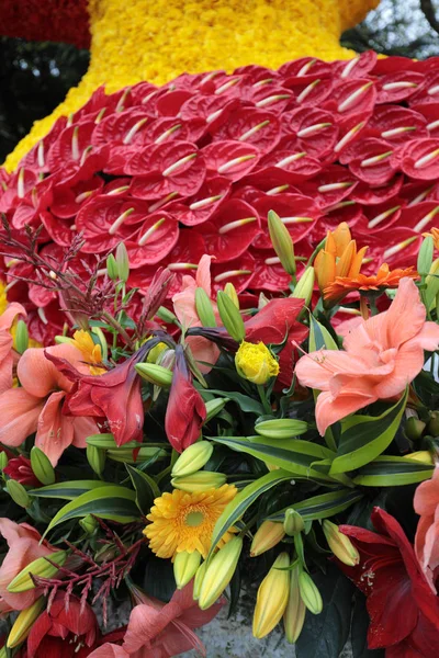 Belleza Decoración Florística Con Coloridas Flores Tropicales — Foto de Stock