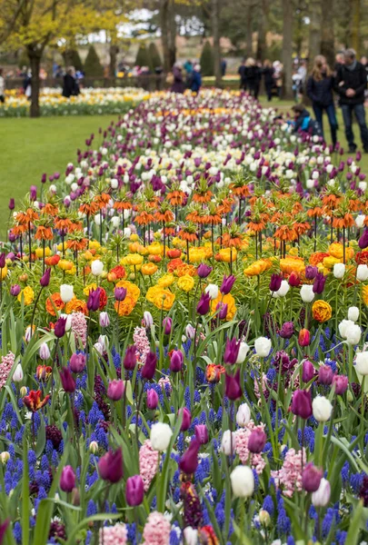 利瑟荷兰 2017年4月19日 荷兰荷兰利瑟库肯霍夫花园的访客 — 图库照片