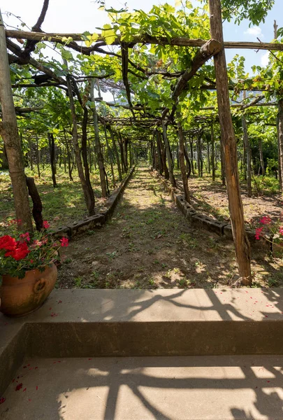 Pergola Pokryte Winoroślą Zapewniając Cienia Upalne Dni Ravello Wybrzeże Amalfi — Zdjęcie stockowe