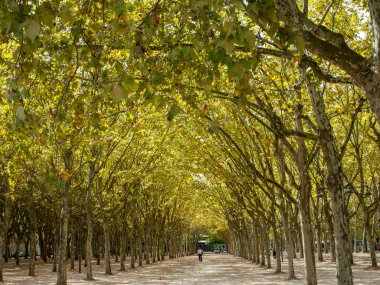 Bordeaux, Fransa - 9 Eylül 2018: Place des Quinconces, Bordeaux France boyunca yeşil ağaçlarla kaplı bir halk bahçesi.