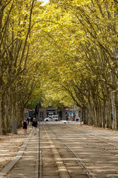 Bordeaux Francja Września 2018 Ogród Publiczny Wzdłuż Place Des Quinconces — Zdjęcie stockowe