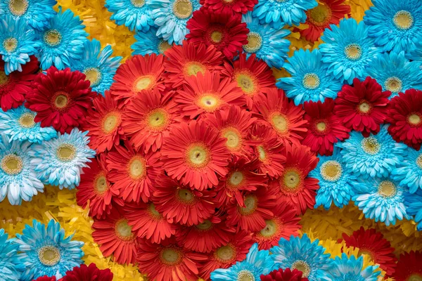 Piękno Kwiaciarnia Ozdoba Kolorowe Gerbera Kwiaty — Zdjęcie stockowe