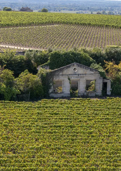 法国波尔多附近圣埃米利翁镇著名的法国葡萄园 圣埃米利翁是波尔多主要的红酒产区之一 也是非常受欢迎的旅游胜地 — 图库照片