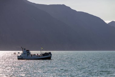 Husavik, İzlanda - 24 Temmuz 2017: Kambur Balina 'yı avlamak için Husavik' ten kalkan yolcularla birlikte tekneyi izleyen balina. İzlanda