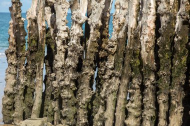 Büyük dalgalar, şehri Saint-Malo, Ille-et-Vilaine, Brittany, Fransa 'daki gelgitlerden korumak için 3000 sandık.