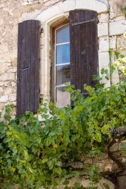 Fransa 'nın Provence bölgesindeki Vaucluse departmanı Sault' taki sarmaşıkla kaplanmış eski bir apartman.