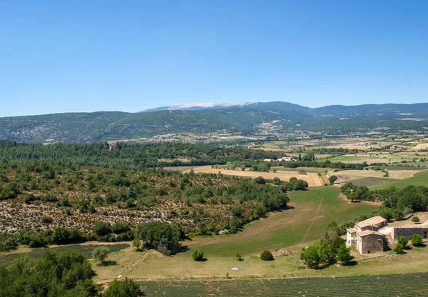 Pole Louky Údolí Pod Saultem Provence Francie — Stock fotografie