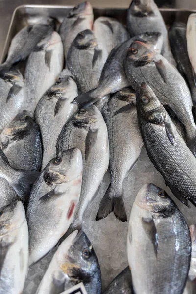 Balık Pazarında Taze Balık Satılıyor — Stok fotoğraf