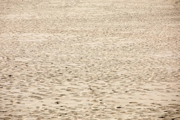 Dune Pilat Tallest Sand Dune Europe Teste Buch Arcachon Bay — Stock Photo, Image