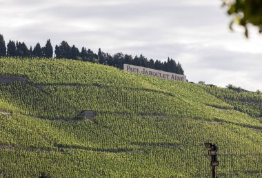 Tain l'Hermitage, Fransa - 28 Haziran 2017: M. görünümünü Chapoutier Crozes-Hermitage üzüm bağları Tain l'Hermitage, Rhone Vadisi, Fransa