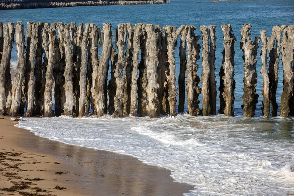 Big Breakwater 3000 Trunks Defend City Tides Plage Ventail Beach — стоковое фото
