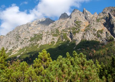 Vysoke Tatry 'deki Büyük Soğuk Vadi (High Tatras), Slovakya. Büyük Soğuk Vadi 7 km uzunluğundadır ve turistler için çok çekicidir.