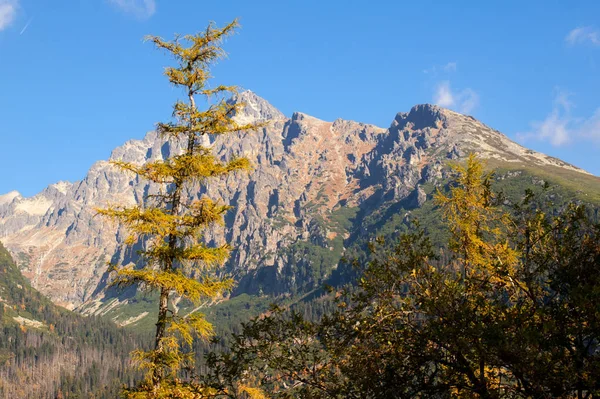 Gran Valle Frío Vysoke Tatry Alto Tatras Eslovaquia Gran Valle —  Fotos de Stock