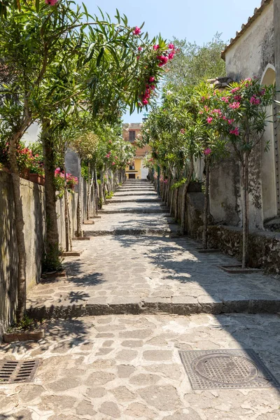 Una Estrecha Calle Empinada Con Adelfas Florecientes Ravello Costa Amalfitana — Foto de Stock