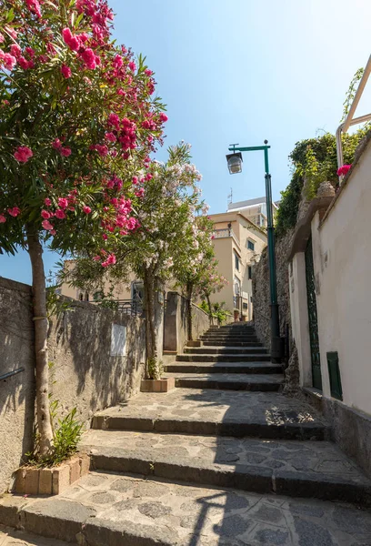Ravello Italien Juni 2017 Eine Enge Steile Straße Mit Blühenden — Stockfoto