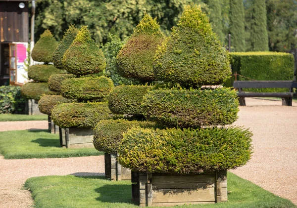 Los Pintorescos Jardins Manoir Eyrignac Dordoña Francia —  Fotos de Stock