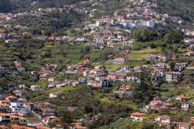 Madeira adasındaki Funchal 'ın dik yamaçlarında tipik teras mimarisi. Portekiz