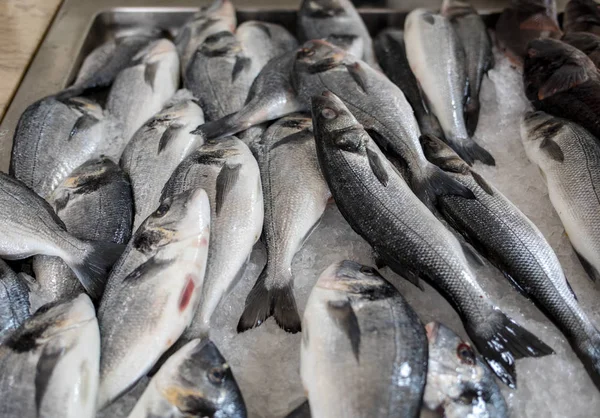 Peixes Frescos Para Venda Num Mercado Peixe — Fotografia de Stock