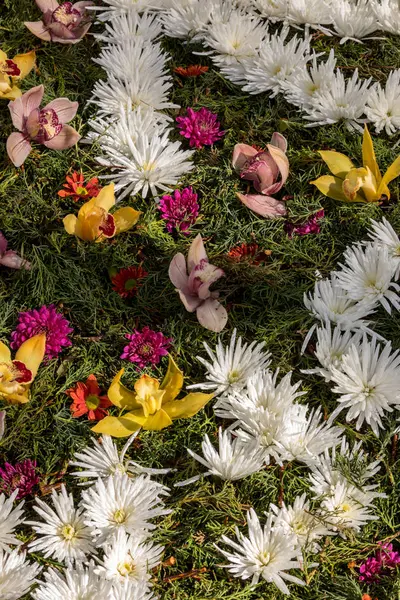 Schoonheid Floristische Decoratie Met Kleurrijke Tropische Bloemen — Stockfoto