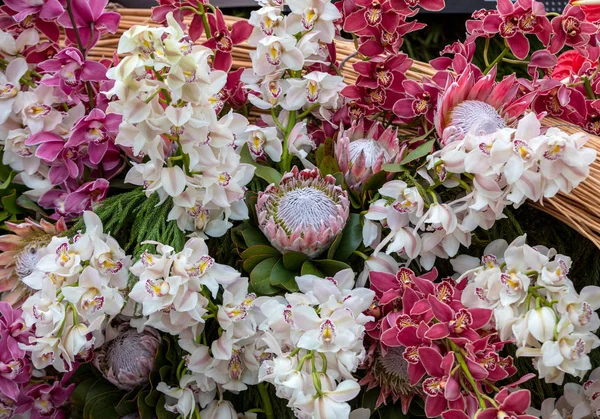Ομορφιά Ανθοκομική Διακόσμηση Πολύχρωμα Τροπικά Λουλούδια — Φωτογραφία Αρχείου